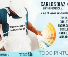 PINTOR, PINTOR PROFESIONAL