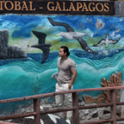 Christopher Ronquillo