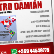 Damian