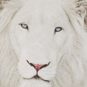 Ernesto Cala Guitarra